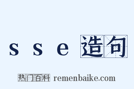sse造句是什么意思的图片